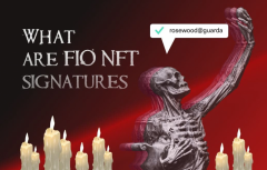  FIO NFT签名概览